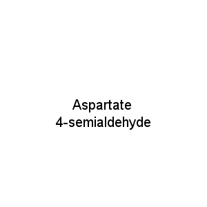 Aspartate 4-semialdehyde